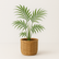 Rattan Basket