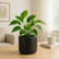 ###Matte Black