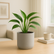 ###Light Gray Cement
