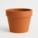 Terracotta Planter