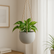Hanging Planter
